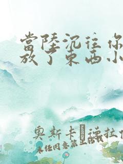 当陆沉往你里面放了东西小玩具