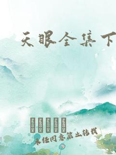 天眼全集下载