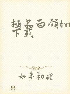 极品白领txt下载