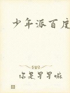 少年派百度百科