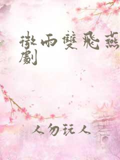 微雨双飞燕电视剧