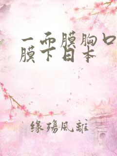 一面膜胸口一面膜下日本