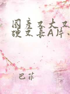 国产又大又粗又硬又长A片小说