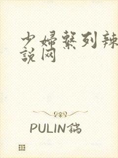 少妇系列辣文小说网