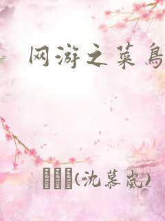 网游之菜鸟高手