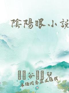 阴阳眼小说