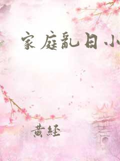 家庭乱日小说