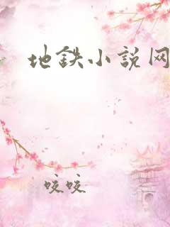 地铁小说网