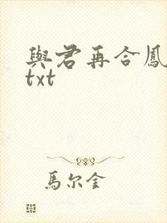 与君再合凤求凰txt