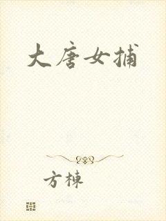 大唐女捕