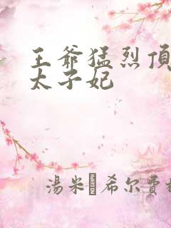 王爷猛烈顶弄H太子妃