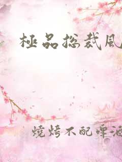 极品总裁风流录