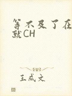 等不及了在车里就CH