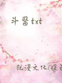 斗医txt