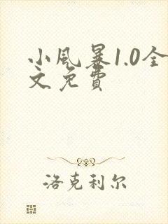 小风暴1.0全文免费