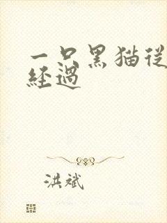 一只黑猫从眼前经过