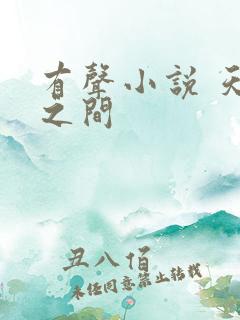 有声小说 天地之间