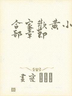 合家欢黄小梅全部章节