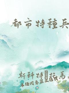 都市特种兵任天