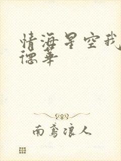 情海星空我与刘德华