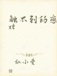 触不到的恋人txt