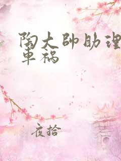 陶大帅助理子豪车祸