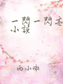 一闪一闪亮晶晶小说