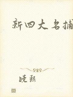 新四大名捕全集