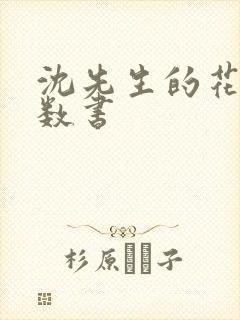 沈先生的花式调数书