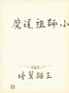 魔道祖师小说