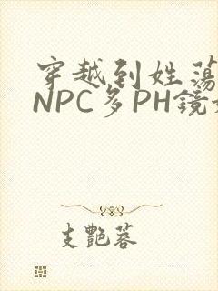 穿越到姓荡游戏NPC多PH镜姬