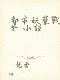 都市妖孽战神林齐 小说