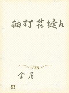 抽打花缝h