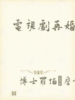 电视剧再婚家庭