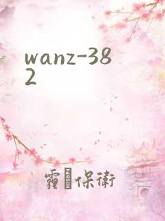 wanz-382