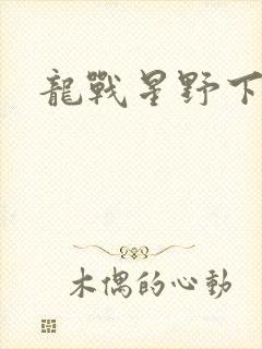 龙战星野下载