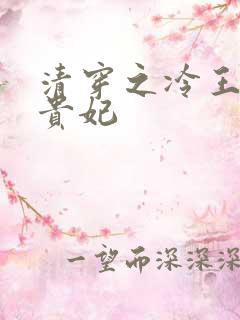 清穿之冷王的皇贵妃