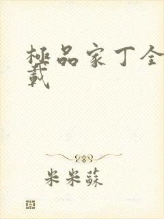 极品家丁全集下载