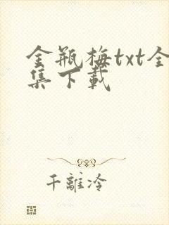 金瓶梅txt全集下载