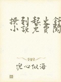 撩到起火舒漾的小说免费阅读全文