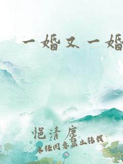 一婚又一婚