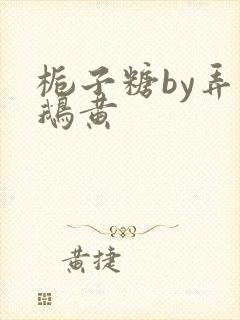 栀子糖by弄白鹅黄