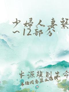少妇人妻系列1～12部分