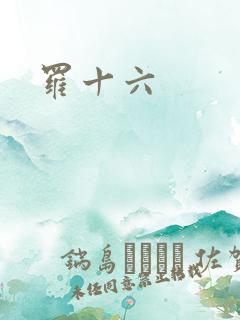 罗十六