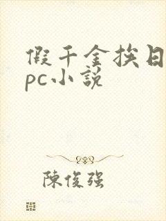 假千金挨日记npc小说