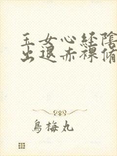 玉女心经阴进阳出退赤裸修行