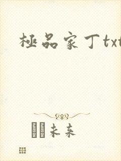 极品家丁txt