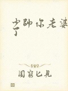 少帅你老婆又跑了