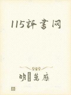 115评书网
