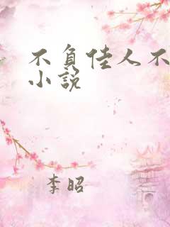 不负佳人不负卿小说